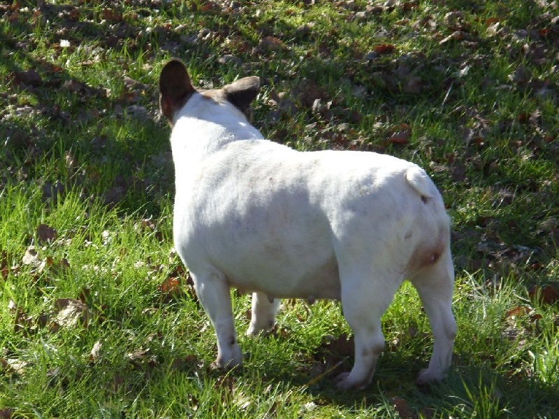 Garance du domaine l ' abreyra