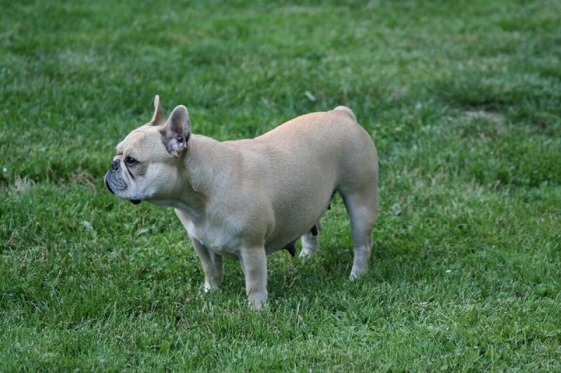 Unhistoirdamour Des amis de bin